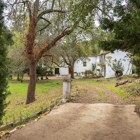 Molino De Gris Cazorla Vila Chilluevar Exterior foto
