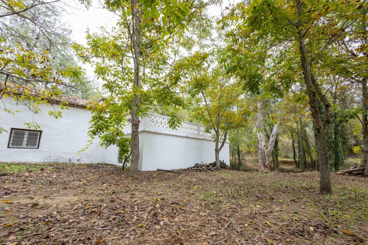 Molino De Gris Cazorla Vila Chilluevar Exterior foto