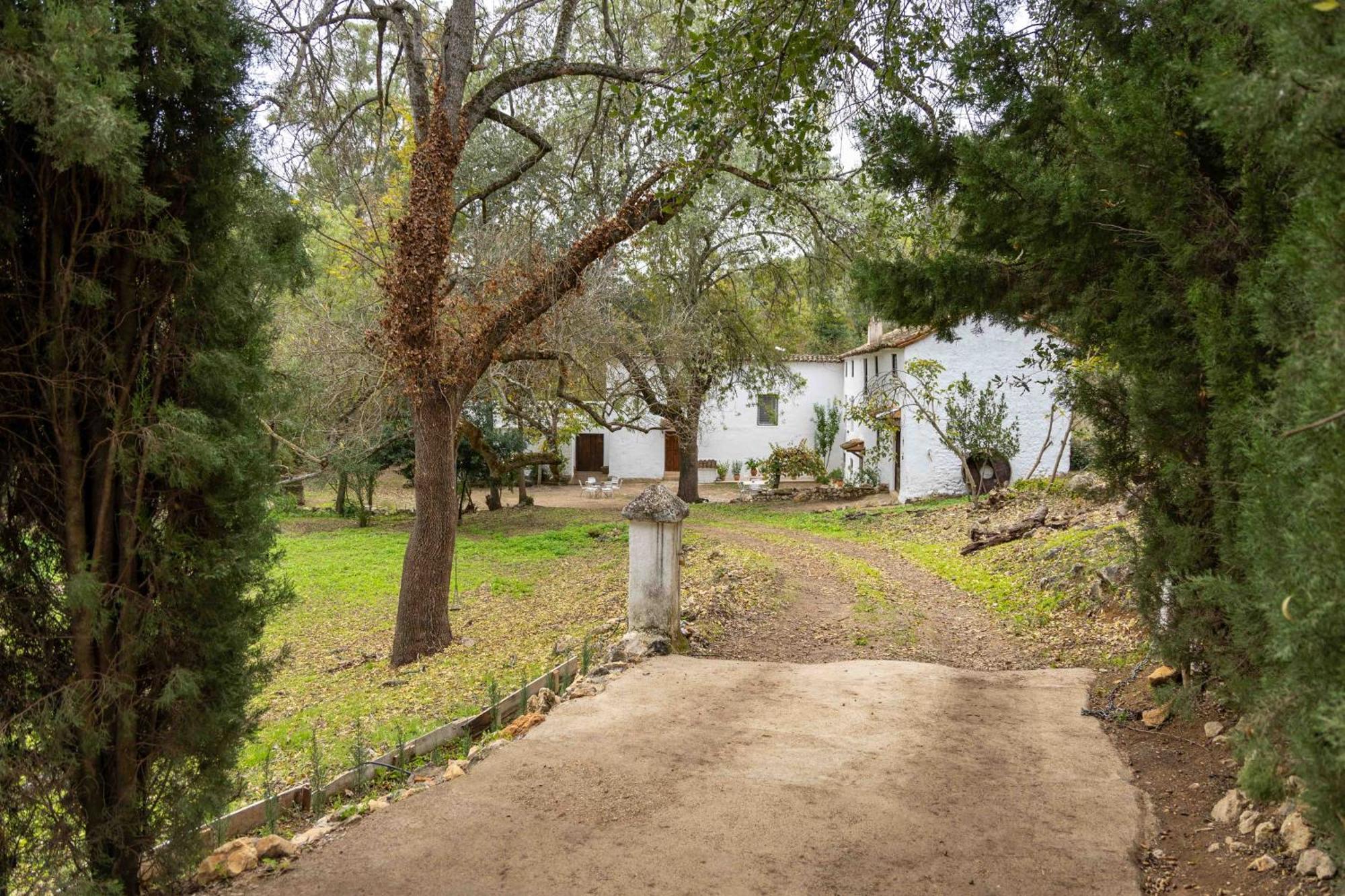 Molino De Gris Cazorla Vila Chilluevar Exterior foto
